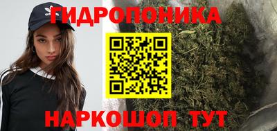 ГАЛЛЮЦИНОГЕННЫЕ ГРИБЫ Камышлов