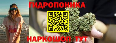 дурь Кандалакша