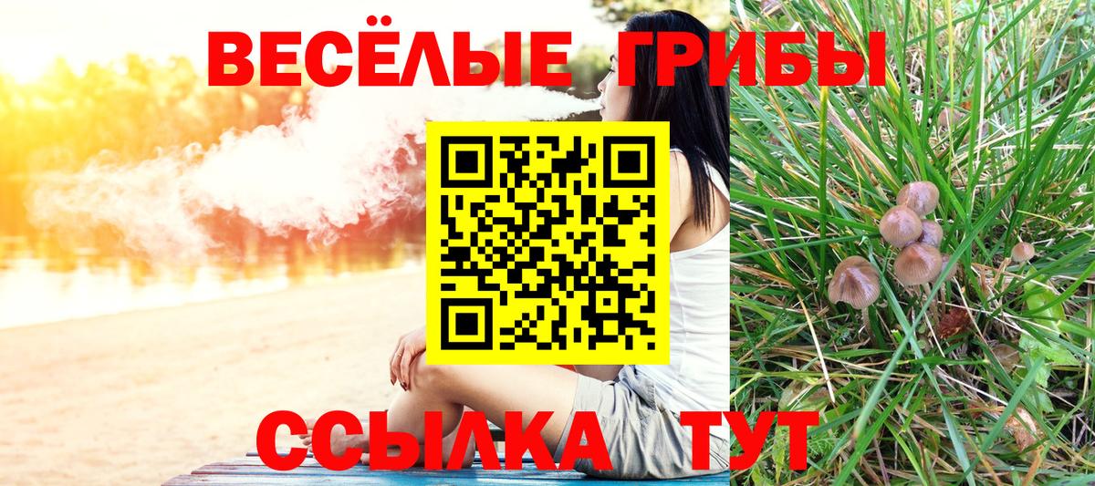Галлюциногенные грибы Psilocybine cubensis  Вход с VPN  Костомукша 